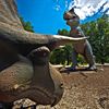 (6/21/2012) These awesome dinosaurs live in Forest Park and they hide just a little to the East of the Planetarium.  Another hidden Gem in St. Louis!!  Song: Bang A Gong by T. Rex